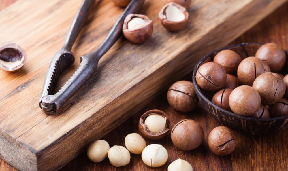 Las nueces de Macadamia son el fruto seco más graso de su especie.