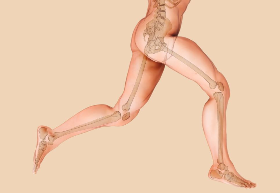 Los beneficios de correr para el cuerpo humano son varios, e incluyen la salud ósea.