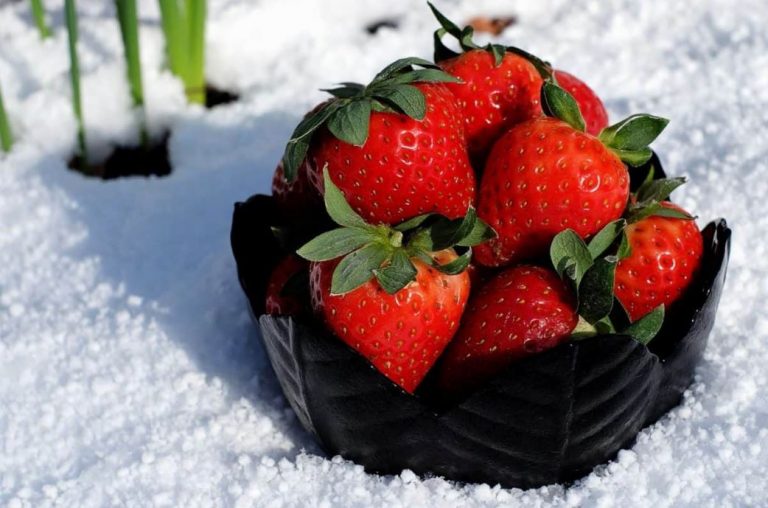 Fruta de invierno: la idónea y sus alternativas