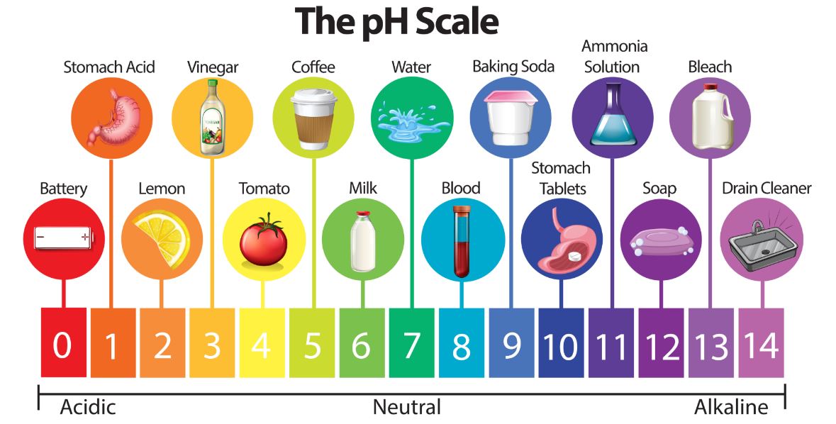 Escala del pH de los alimentos.