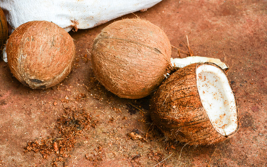 Los beneficios del coco pueden aprovecharse con tan solo comer una pequeña porción de esta fruta.