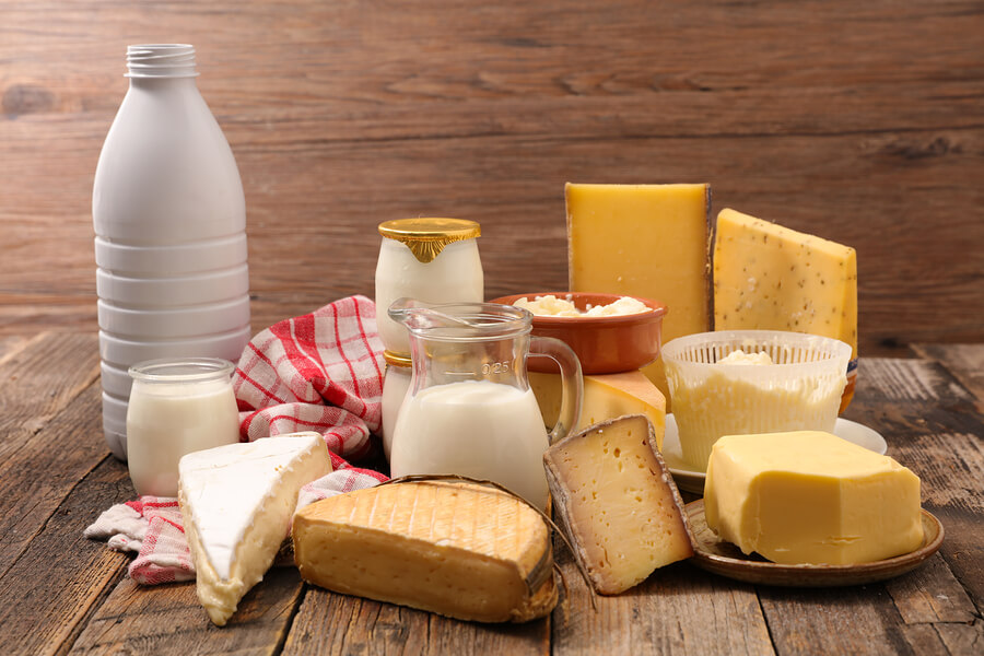 Los productos lácteos se fabrican a partir de la leche de los mamíferos.