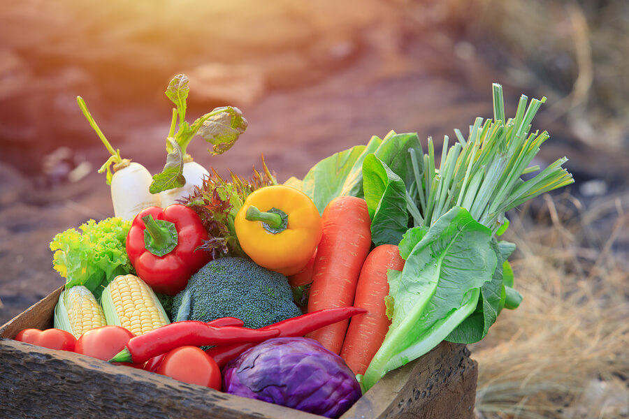 La dieta baja en carbono incluye el consumo de vegetales frescos.
