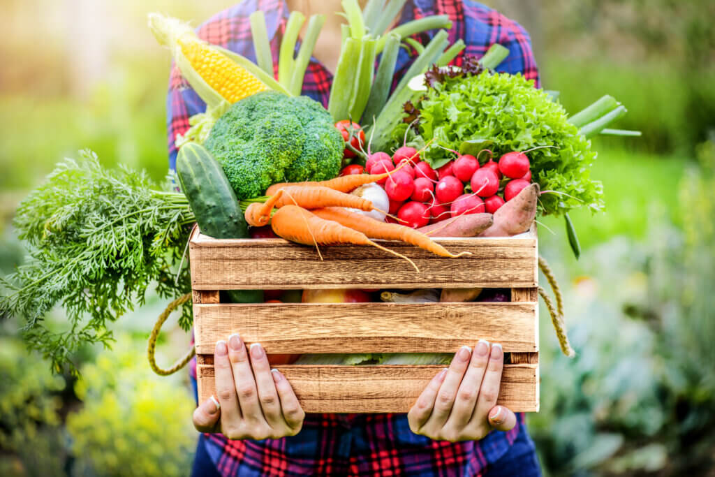 Los beneficios de las frutas y verduras repercuten en la salud del organismo.