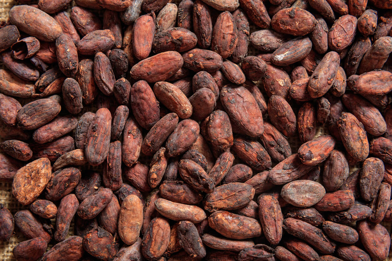 Semillas de cacao para consumir en el deporte