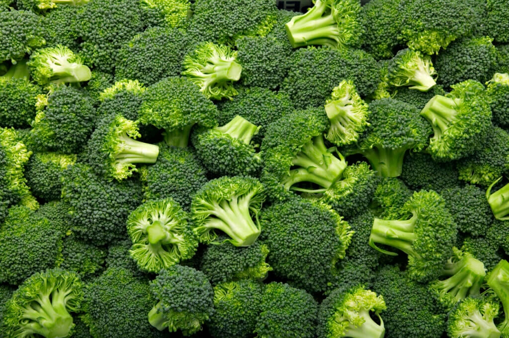 Cientos de brócolis