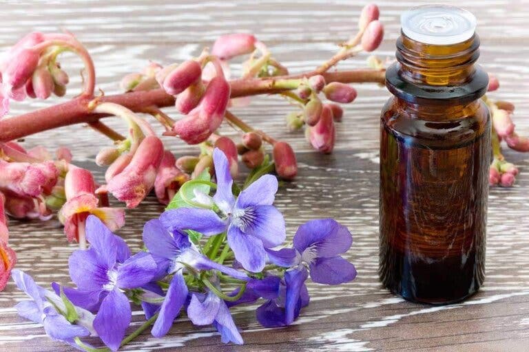 Las flores de Bach: qué son y para qué se usan