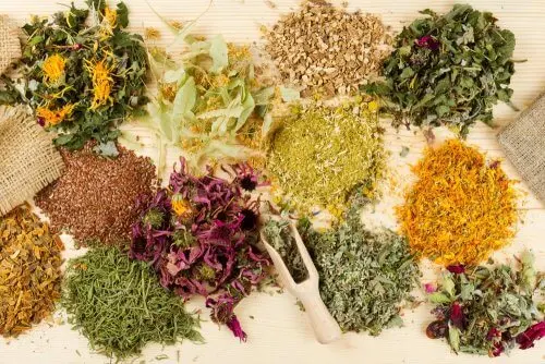 Plantes médicinales