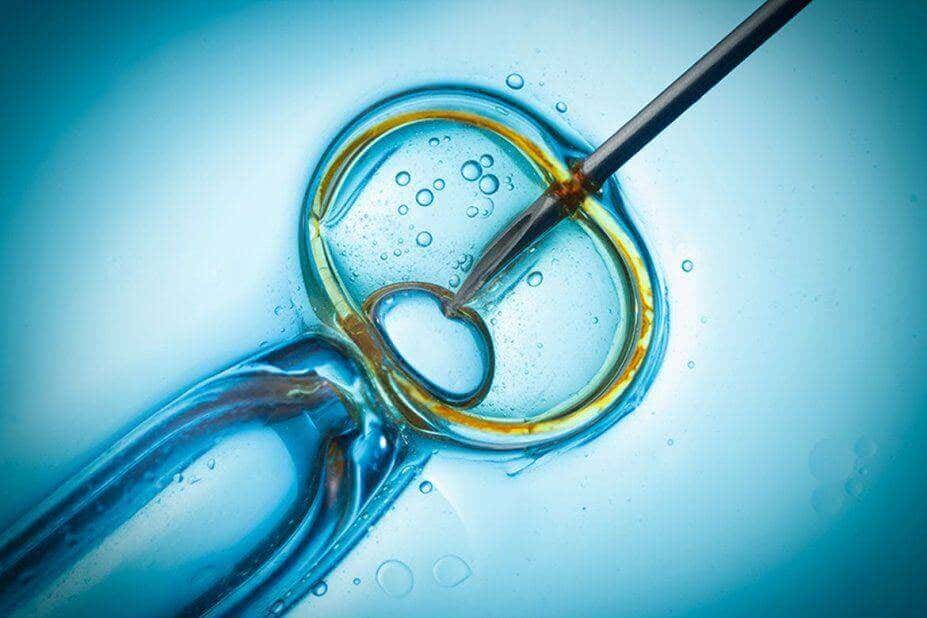 Fertilização in vitro e gravidez bioquímica.