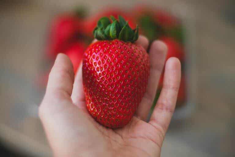 Dieta de la fresa para adelgazar: ¿mito o realidad?