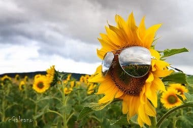 Encuentra un buen rato para tomar el sol
