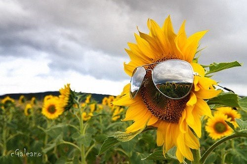 Encuentra un buen rato para tomar el sol