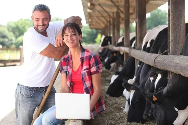 Beneficios de vivir en el campo