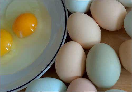 saber-sobre-los-huevos