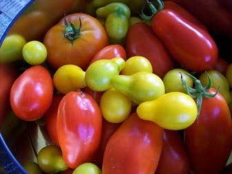Puré de verduras, una comida sana para todos paladares
