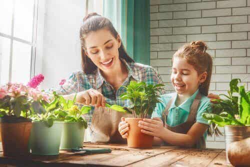 Beneficios de tener plantas en la casa