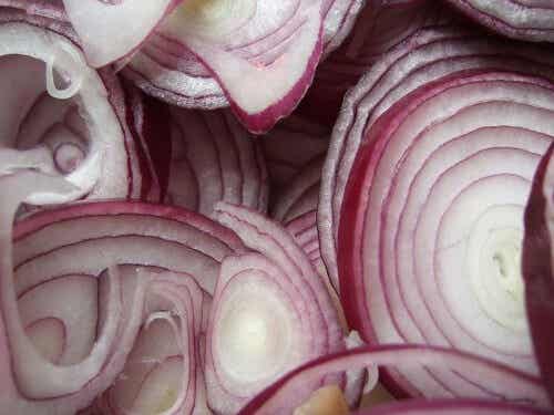 Los nutrientes de la cebolla, alimento que no debe faltar en tu mesa