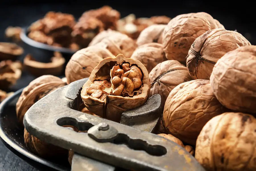 La riqueza nutricional de las nueces