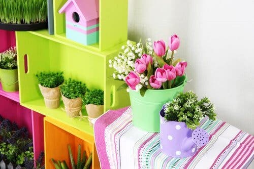 Plantas sobre los muebles.