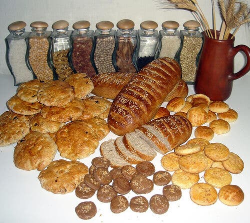 Cereales integrales vs cereales refinados