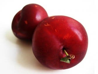 Todo lo que tienes que saber sobre la ciruela