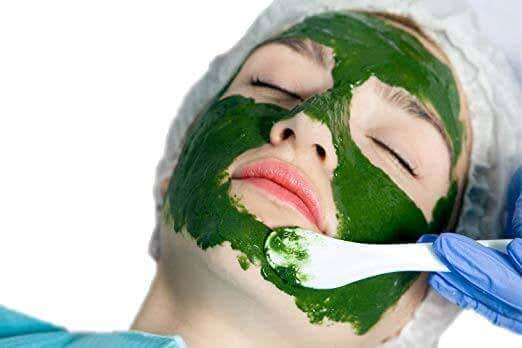 Masque aux algues.