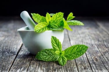 5 beneficios de la menta para tu salud