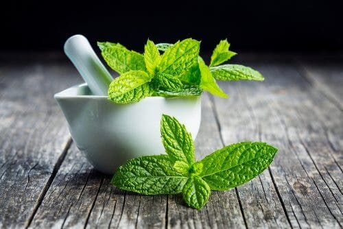 Hojas de menta en un vaso