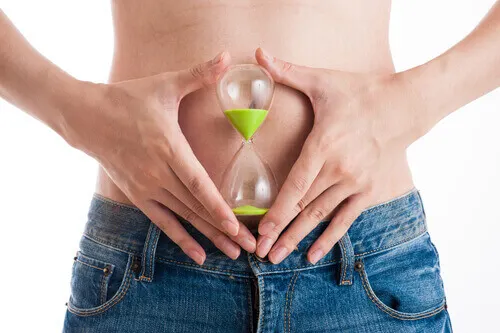 Metabolismo