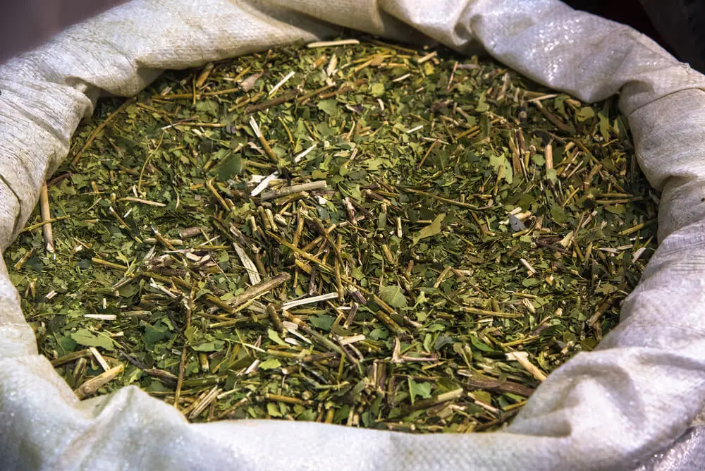 Bebida de tereré: beneficios y cómo prepararla
