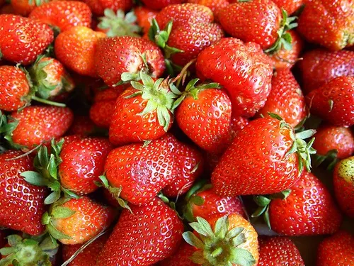 fresas
