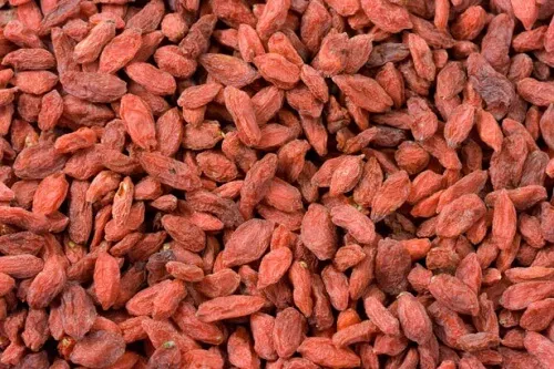 Bayas de goji