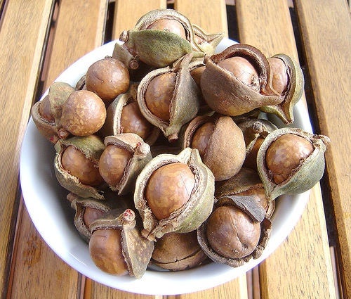 Beneficios de las nueces de Macadamia