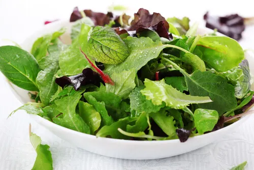 Ensalada verde