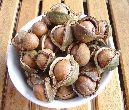 5 beneficios de las nueces de Macadamia