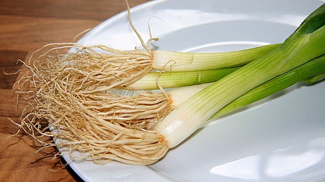 Puerros en un plato