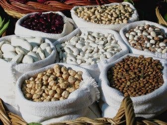 Las mejores fuentes de proteína vegetal