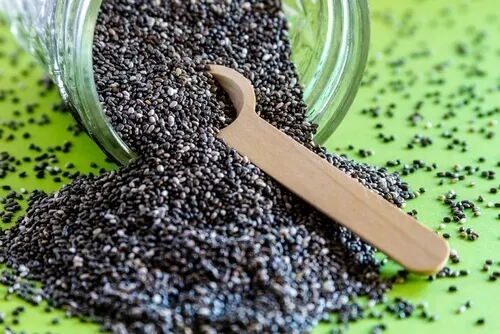 Chia