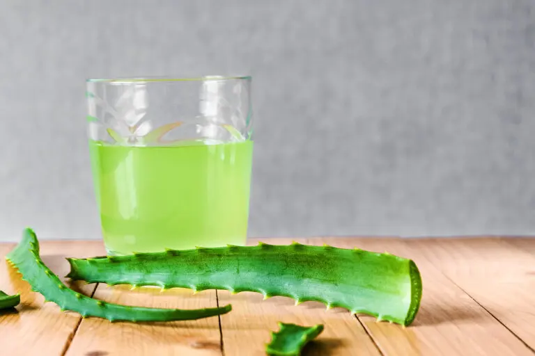 ¿Cómo preparar el jugo de aloe vera en casa?