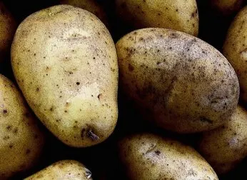 Usos no tradicionales de la papa (patata) para mejorar la salud