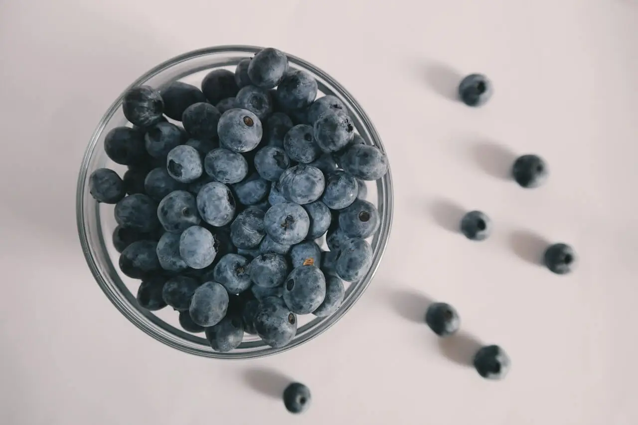 Plato con arándanos para hacer granolas.