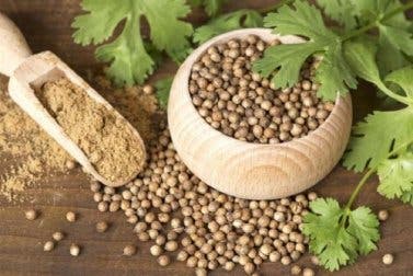 10 beneficios medicinales que obtienes de las semillas de cilantro