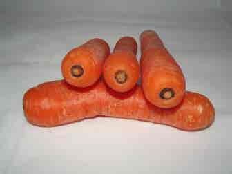 ¿Cuáles son los beneficios que aportan las zanahorias?