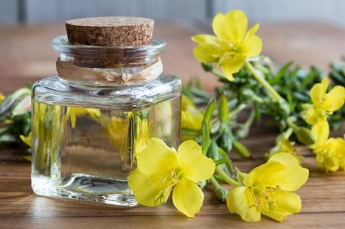 Usos del aceite de onagra