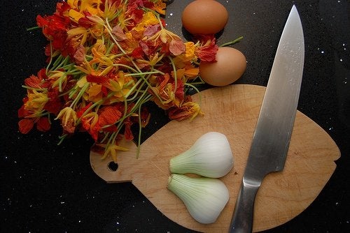 ¿Qué flores son comestibles?