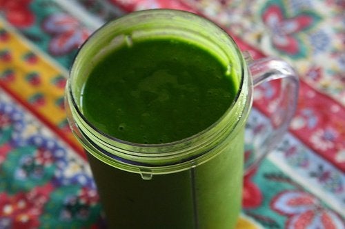 La espirulina: ¿qué es y cuáles son sus beneficios?
