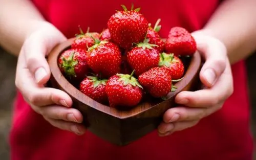 Fresas