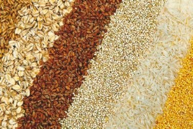 ¿Qué beneficios aportan los granos enteros a nuestro organismo?