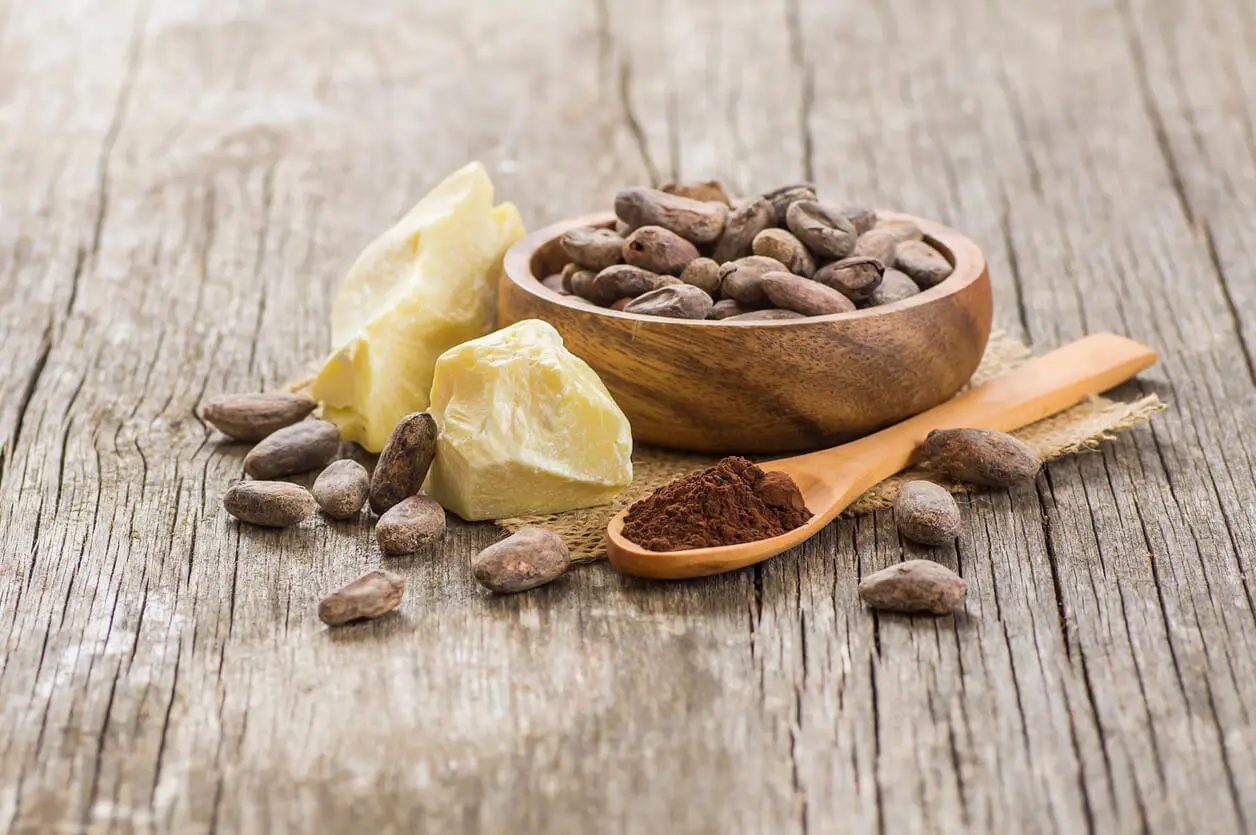 Manteca de cacao y cacao en polvo