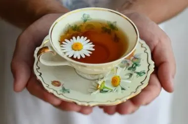 La manzanilla: beneficios de consumirla